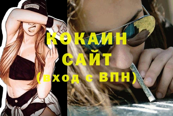 винт Алексин