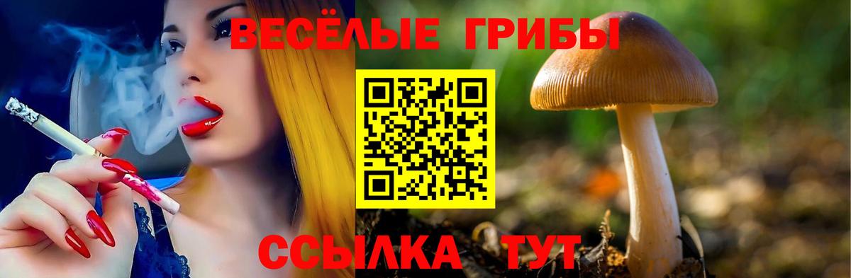Галлюциногенные грибы Psilocybe  Галлюциногенные грибы ЛСД  Вход с VPN  Павловский Посад 