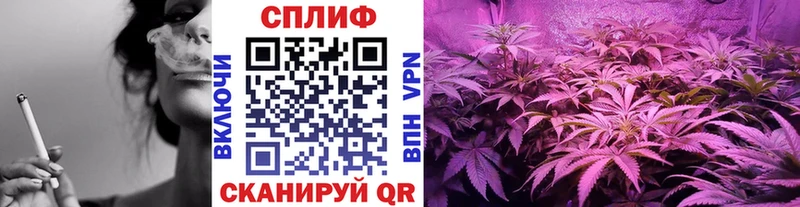 Марихуана OG Kush  закладка  Павловский Посад 